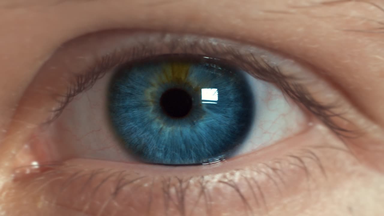 파란 눈의 근접 사진