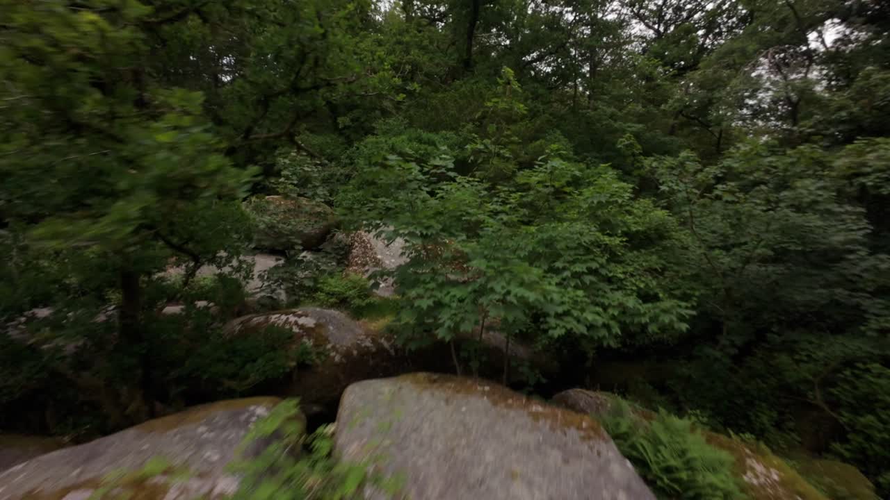 FPV drone flying between foliage and rocks of Huelgoat Forest in France