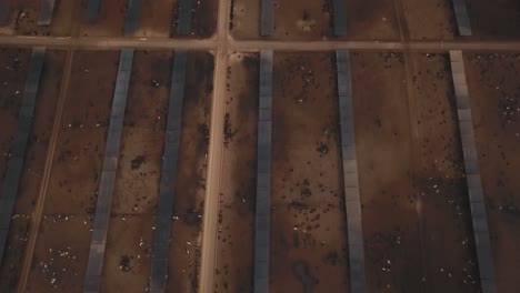 Aerial:-slow-pan-up-revealing-giant-cattle-farm,-feedlot