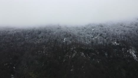 Snowy-Foggy-Forest-Landscape