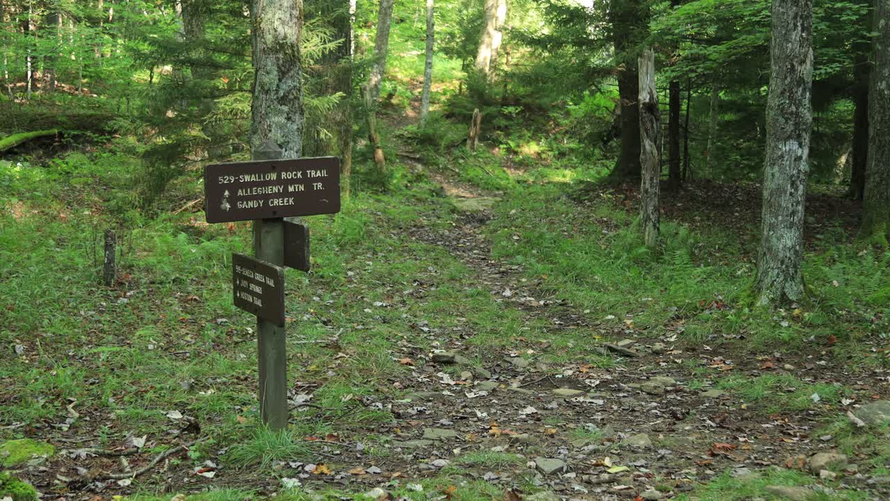 указатель на пересечении тропы сенека-крик и тропы сваллоу-рок в национальной зоне отдыха "еловые нобы - сенека-рок" в западной вирджинии