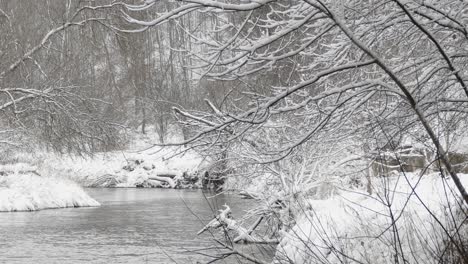 panning shot of tiny stream flowing through winter landscape