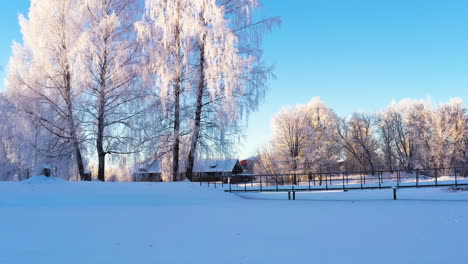 White-winter-morning-in-countryside-with-hoarfrost-on-sunlight-trees