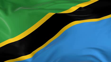 waving  looped flag as  background tanzania