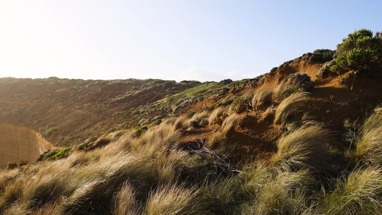 hermoso paisaje costero con acantilados y vegetación