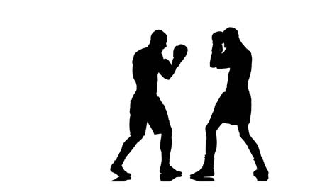 silhouette of two boxers in a boxing match