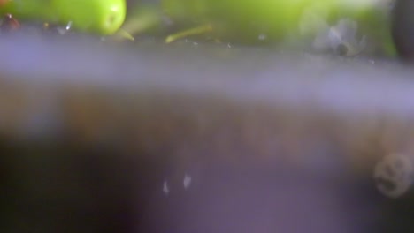 images of olives washed and sent for processing in the olive oil factory