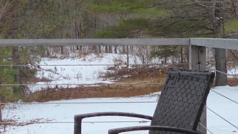 snowy landscape in maniwaki, québec with a deer grazing in the distance