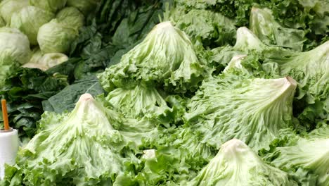 fresh lettuce for sale at a market