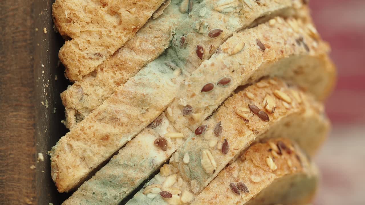 Moldy Sliced Bread