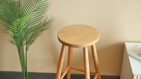 wooden stool with plant in front of beige wall