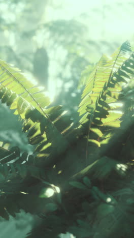 close-up shot of a fern with sunbeams shining through the leaves