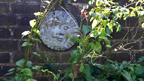 time-lapse of a sun plaque smiling on a wall with green plants growing