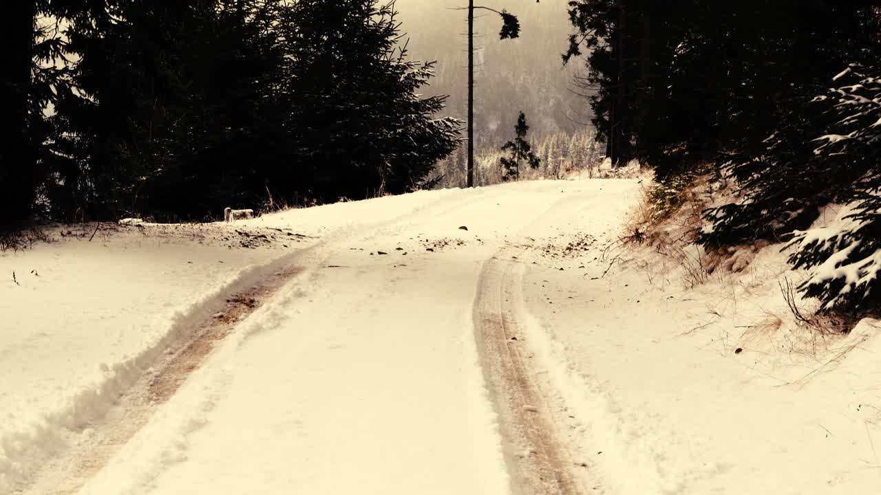 루마니아 산의 안개 낀 아침