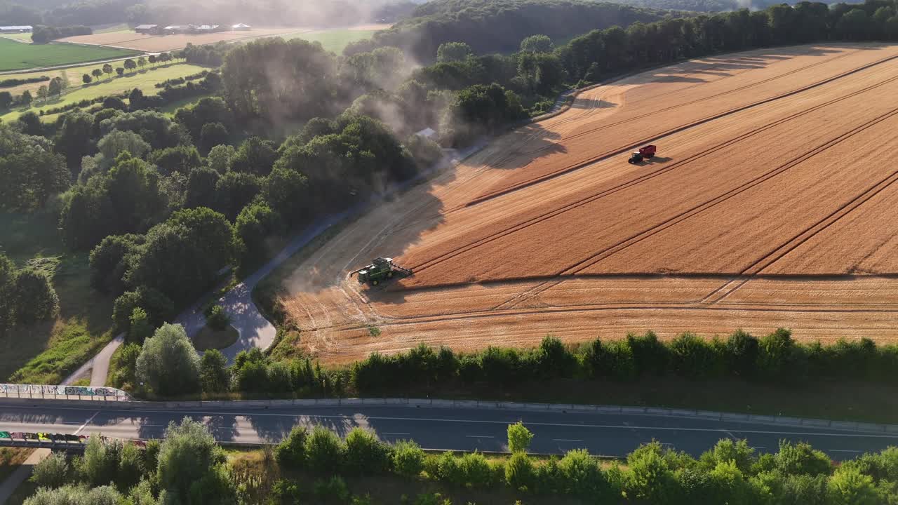 Rising dust of harvesting and cutting combine harvester on farmland crop field at sunset. Aerial lateral wide shot. Tractor with trailer transporting