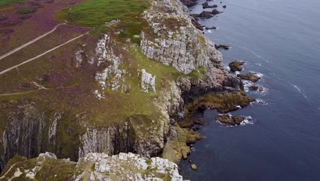 flying above the rocky cliffside of north france