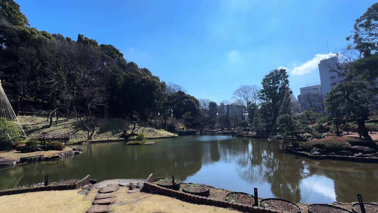 A peaceful view of a traditional Japanese garden in Tokyo, with a serene pond