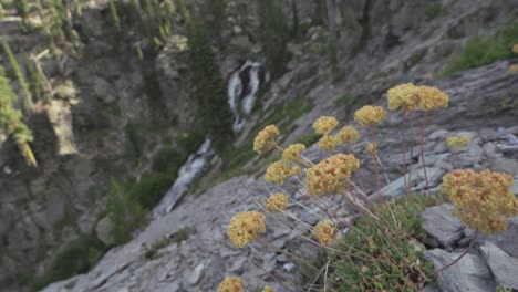 Scenes-Of-Lakes-Fields-And-Flowers-Around-The-Mt-Lassen-Wilderness-In-Shasta-County-California