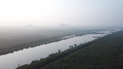 Aerial-view-mangrove-trees-and-deforestation-at-Batu-Kawan,-Penang,-Malaysia.