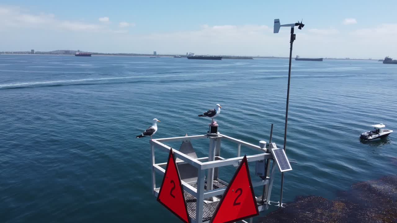 lbc 선착장에서 캘리포니아-4 카탈리나 섬까지 긴 해변 스피드보트 경주