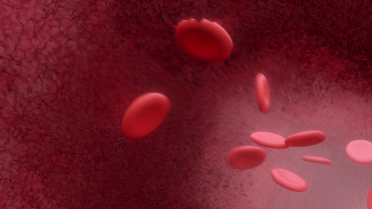 Blood cells flying through arteries
