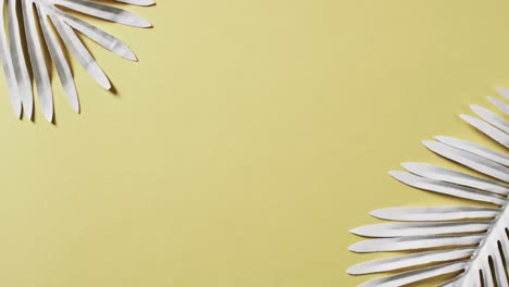 video of white plant leaves with copy space on yellow background