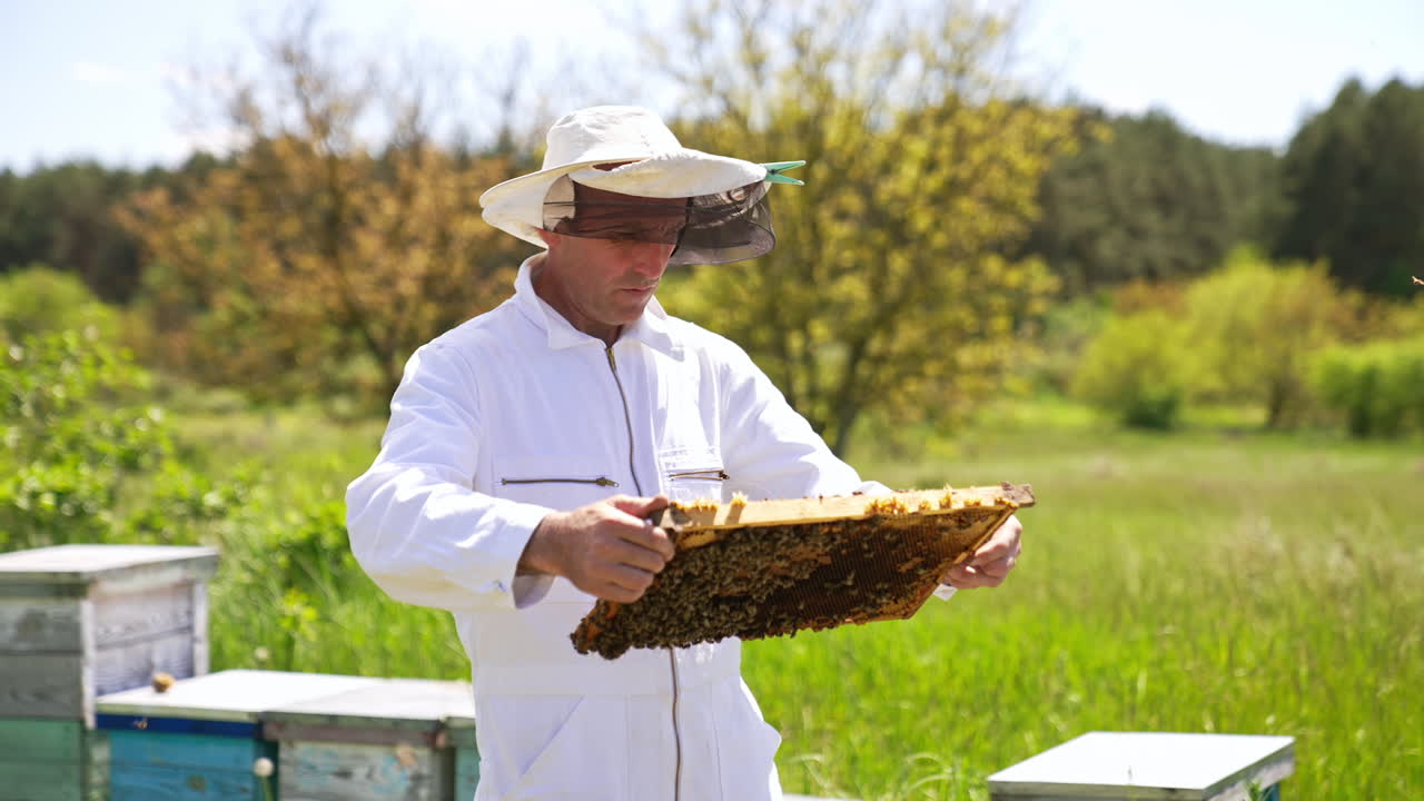 Beekeeper holds a frame in hands and looks severely at it. Man checking honey harvest at his apiary. Nature background.