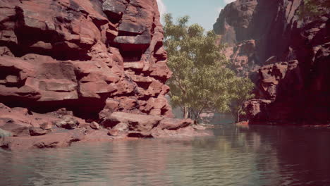 mountain river and colourful mountains of colorado