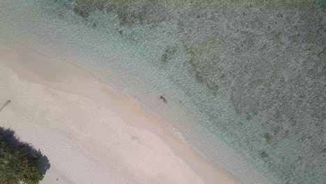 vista de avión no tripulado de 4k desde arriba de una chica turista flotando en aguas azules claras en la playa star de una isla privada en palawan, filipinas