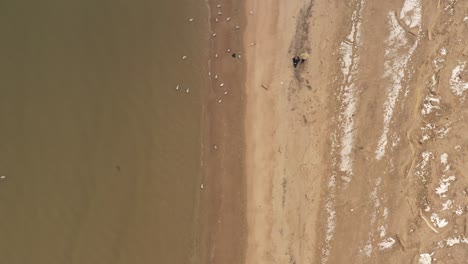 Una-Vista-De-Arriba-Hacia-Abajo-Directamente-Sobre-Dos-Personas-Caminando-En-La-Playa-De-Coney-Island-Creek-En-Un-Día-De-Invierno