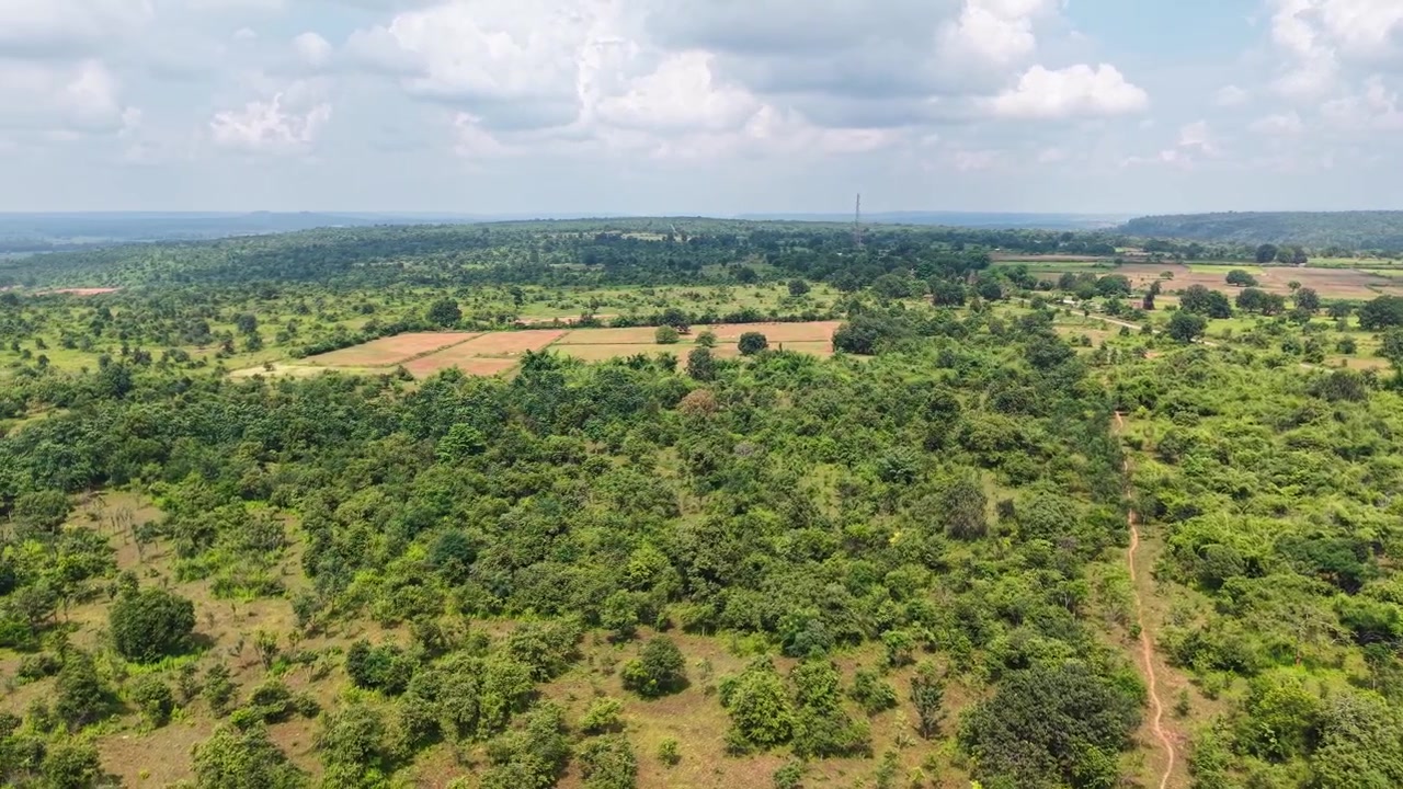 Filmisk droneoptagelse, der jævnt panorerer til venstre over grønt kratlandskab, spredte træer og landbrugsmarker, og afslører en vidtstrakt skovhorisont under en dramatisk skyet himmel