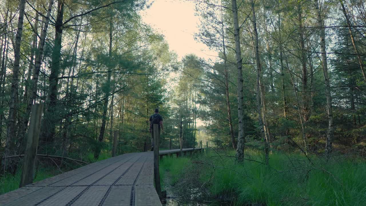 숲 을 가로질러 나무 로 된 산책로 를 고 있는 사람