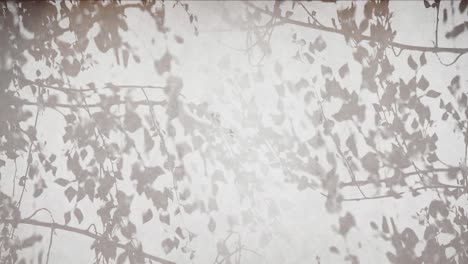 silhouetted foliage against a white background