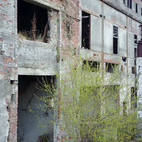 ruinas del edificio o de las instalaciones destruidas