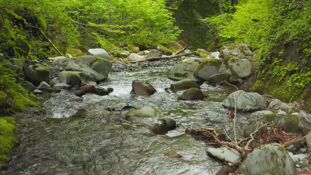 Flyvende ned gennem mosbegroet kløft i Mt Daisen Nationalpark, Tottori Japan
