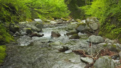 Flying-down-mossy-ravine-in-Mt-Daisen-National-Park,-Tottori-Japan