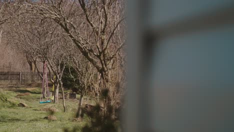 an empty swing hangs in a quiet backyard surrounded by bare trees on a sunny day