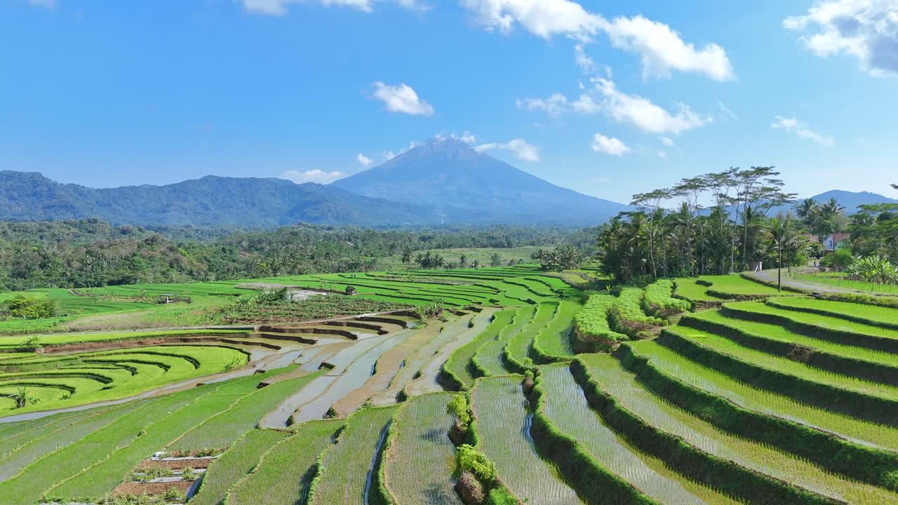 Stunning Aerial View of Rice Terraces and Volcano in Indonesia