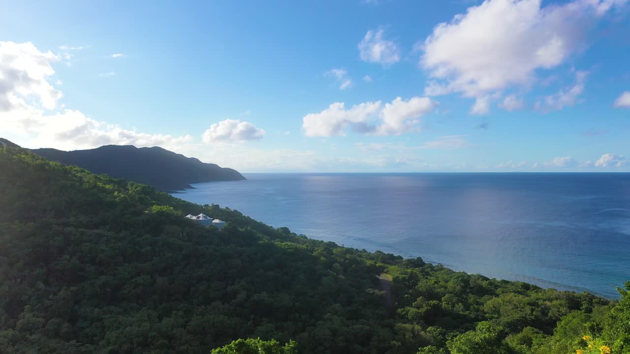 Sunlit close-up of a white fence with glimpses of turquoise ocean and rich forest beyond, creating a perfect harmony of coastal and woodland beauty in one frame