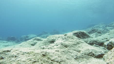 estructura rocosa de los fondos marinos en la playa de parallia emplisi grecia, europa - filmación subacuática