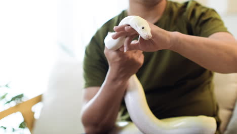 hombre con serpiente en el interior