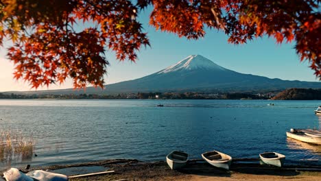 view of mount fuji with snow framed by vibrant red autumn foliage at lake kawaguchiko, japan. ducks gently swim in the foreground, while small boats rest in the background.