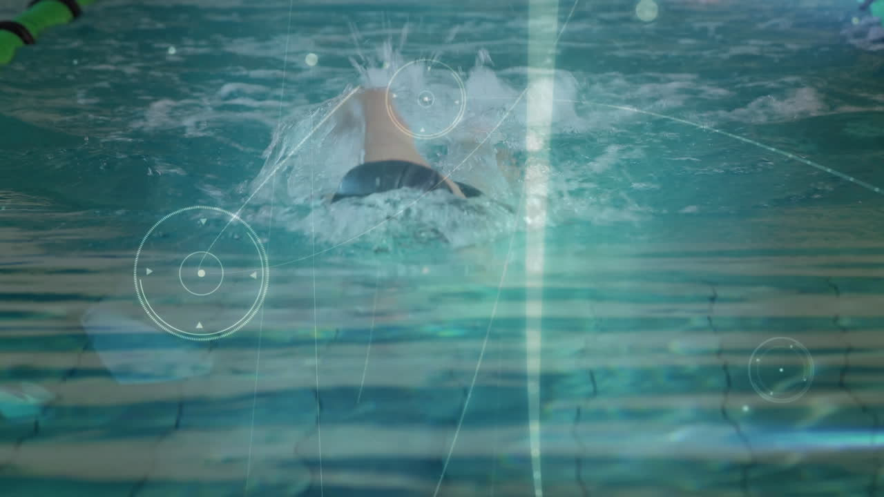 적합한 여성 수영 선수 수영에 대한 연결 네트워크의 애니메이션