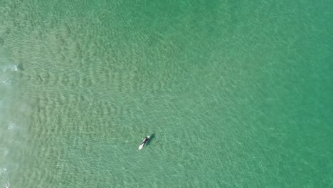 Aerial-top-view-of-a-man-lying-down-and-resting-on-his-surf-board-in-the-water-as-a-wave-rolls-underneath-him