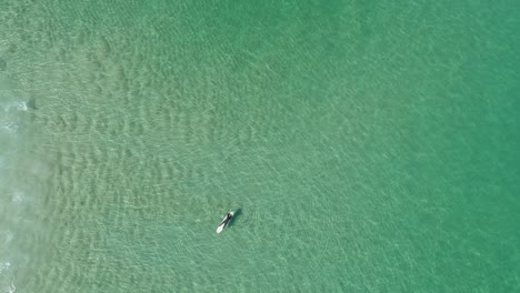vista aérea superior de un hombre acostado y descansando en su tabla de surf en el agua mientras una ola rueda debajo de él