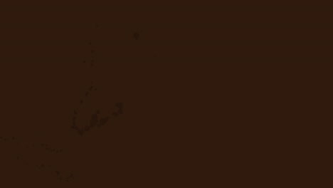 textura de grano de madera marrón claro fondo perfecto para sitios web y proyectos de diseño