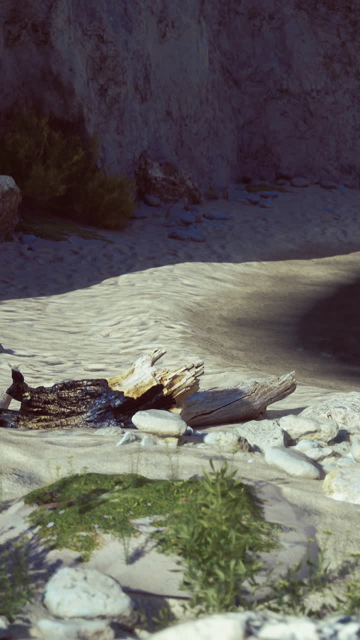 Serene riverbank with white stones and green foliage in soft sunlight