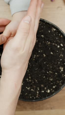 a vertical close-up of a parent placing black seeds into a child’s hands, symbolizing care, learning, and growth.