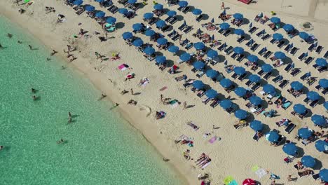 aerial shot of the ayia napa beach