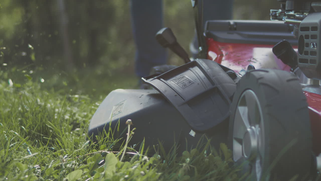 잔디를 는 잔디 기